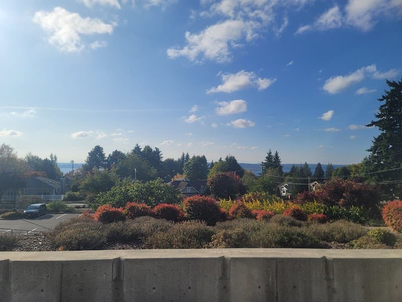 Photo by Rohit Pandey (Google)