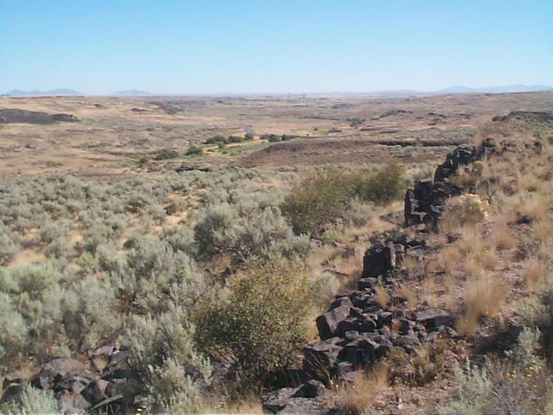 Photo by Govan Recreation Site (Google)