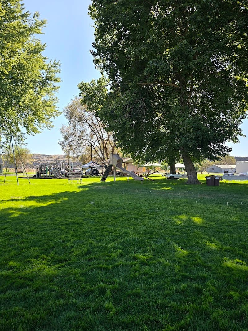 Photo by Kenny Kinswa (Google)