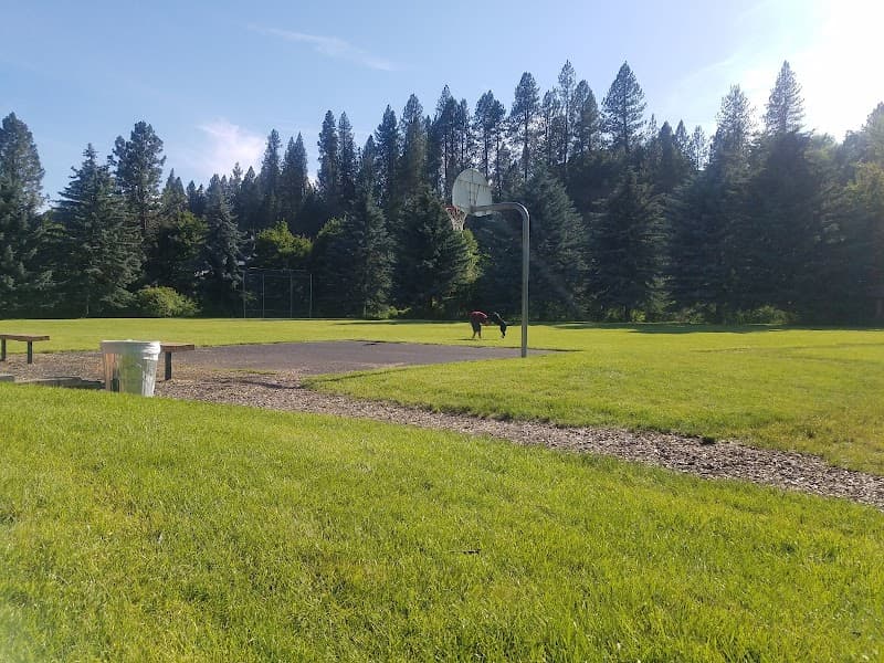 Photo by Eryn Johnson (Google)