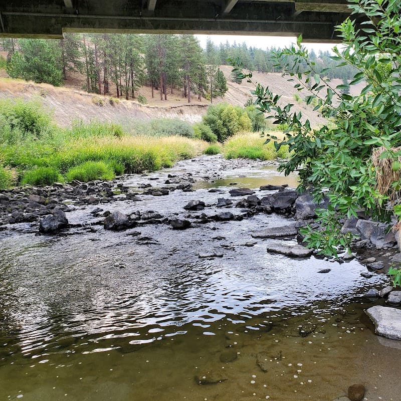 Photo by Seth Biggs (Google)