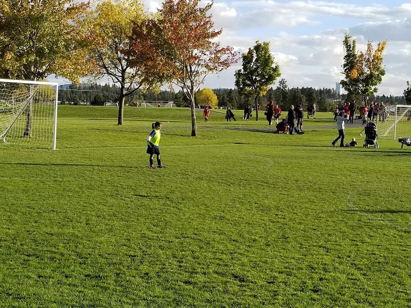 Photo by Michael Wiykovics (Google)