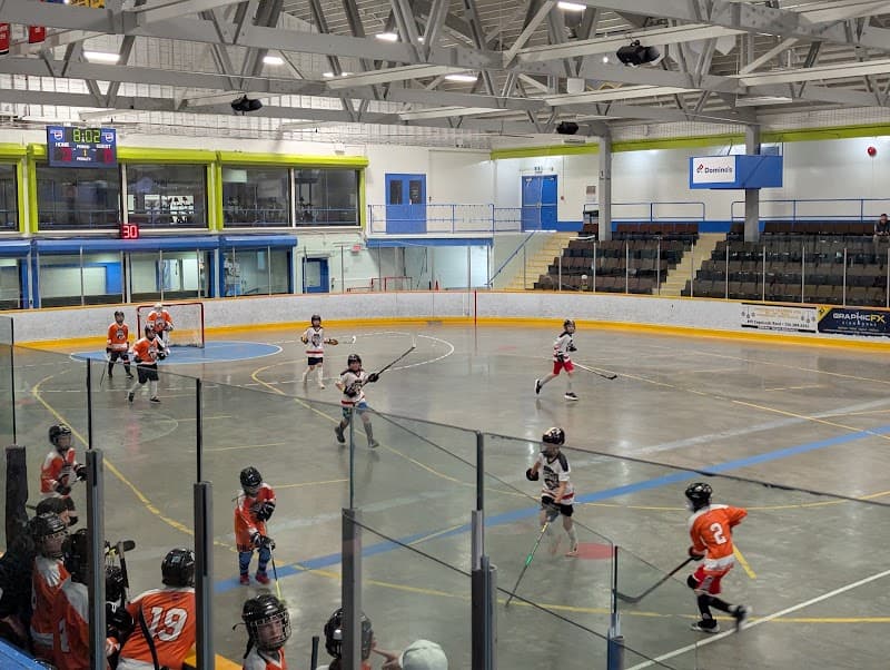 Photo by Cesar Pinilla (Google)