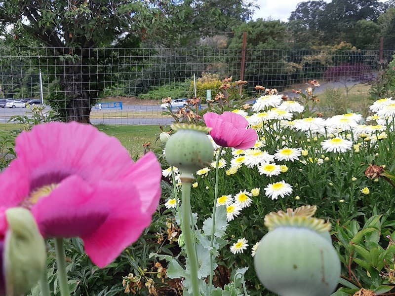 Photo by Leonard Goguen (Google)