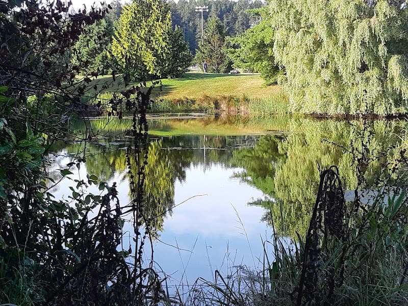 Juan De Fuca Playing Fields