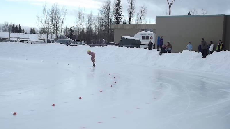 Photo by Raistlin Van Spronsen (Google)