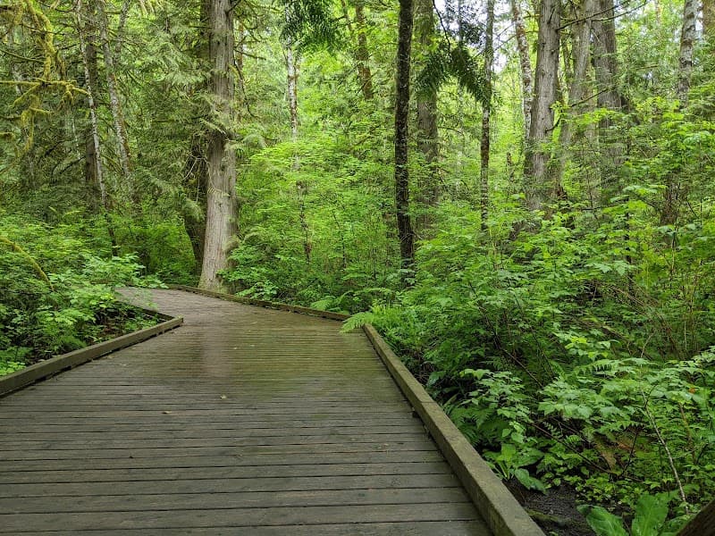 Photo by Emily Archer (Google)