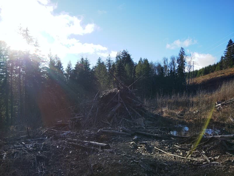 Photo by Kimberley Loney (Google)