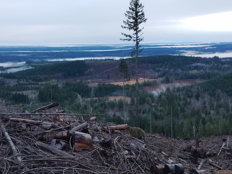 Photo by Kimberley Loney (Google)