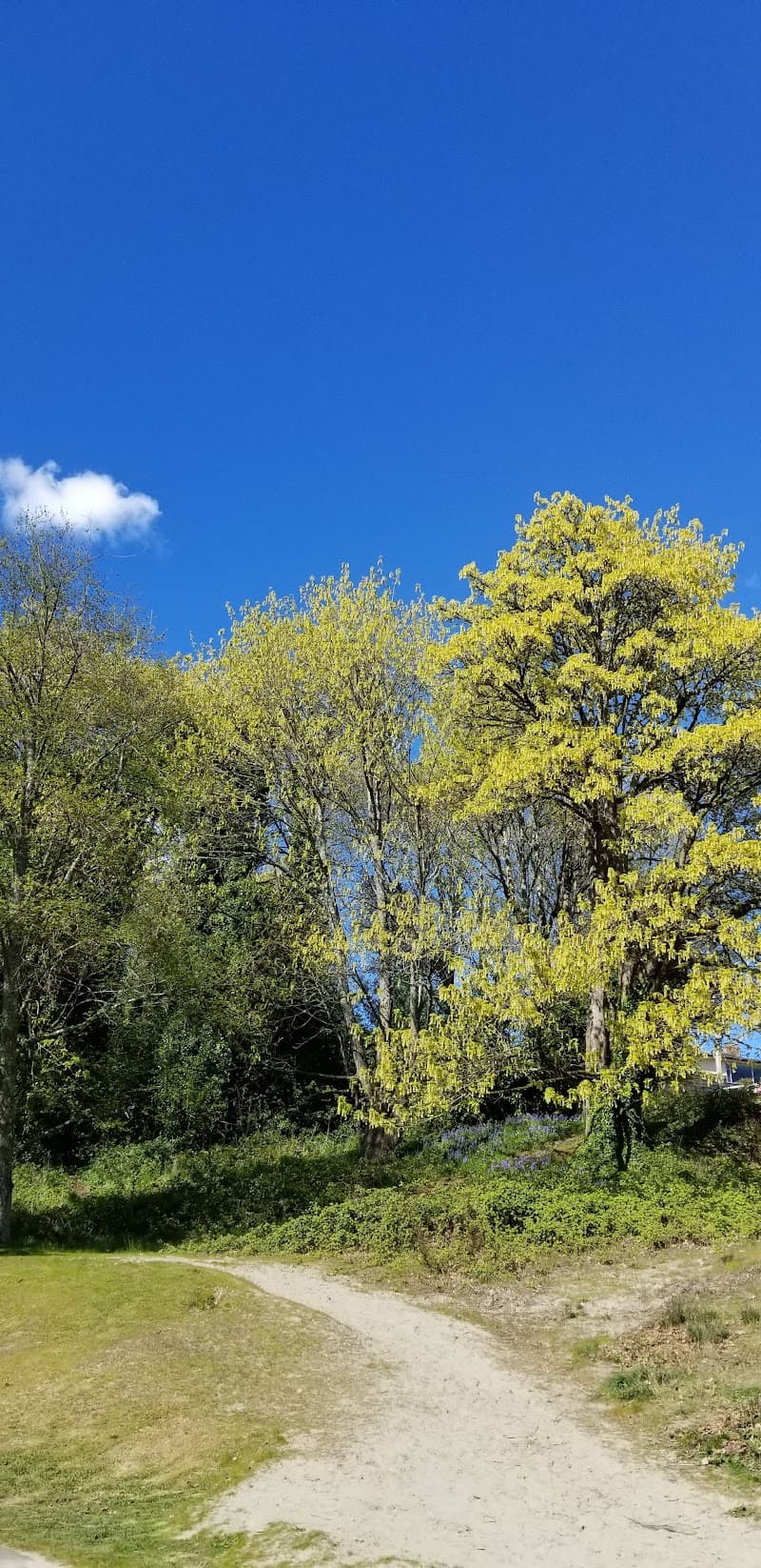 Photo by Alaina Queen (Google)