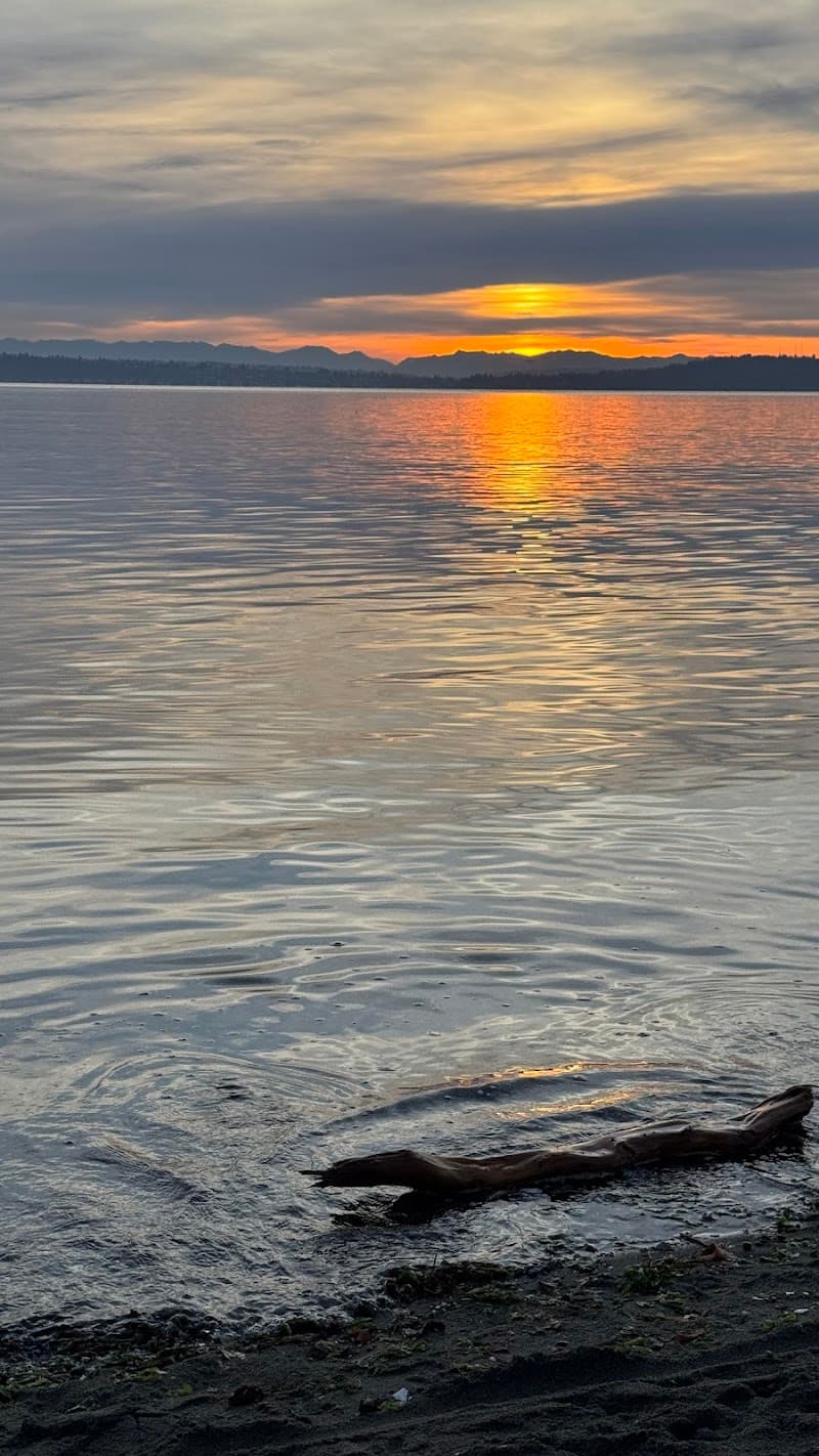 Photo by Тарас Георгійович (Google)