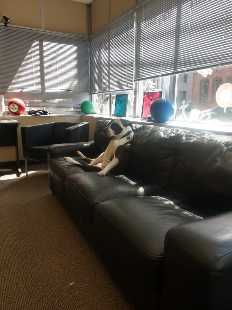 Underdog Sports Leagues - Seattle