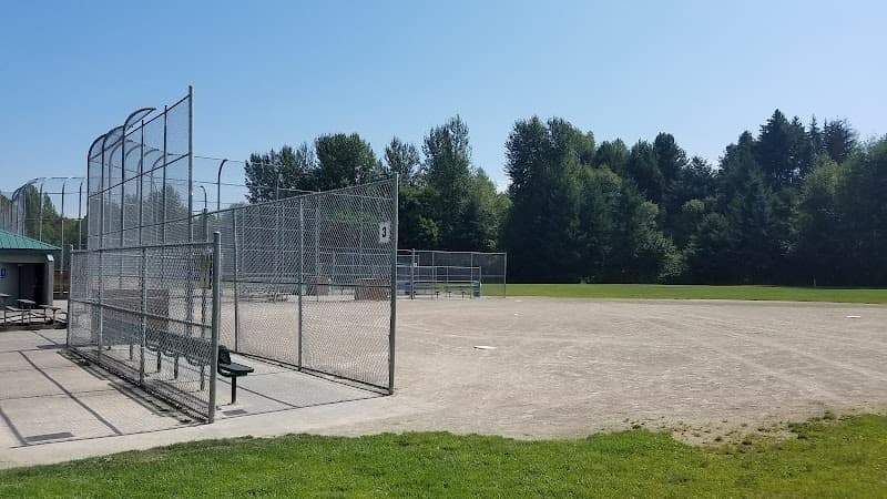 Photo by Daniel Pensak (Google)