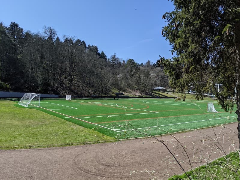Queen Anne Bowl Playfield
