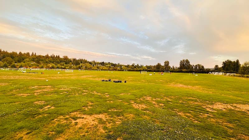 Photo by Ashish Mittal (Google)