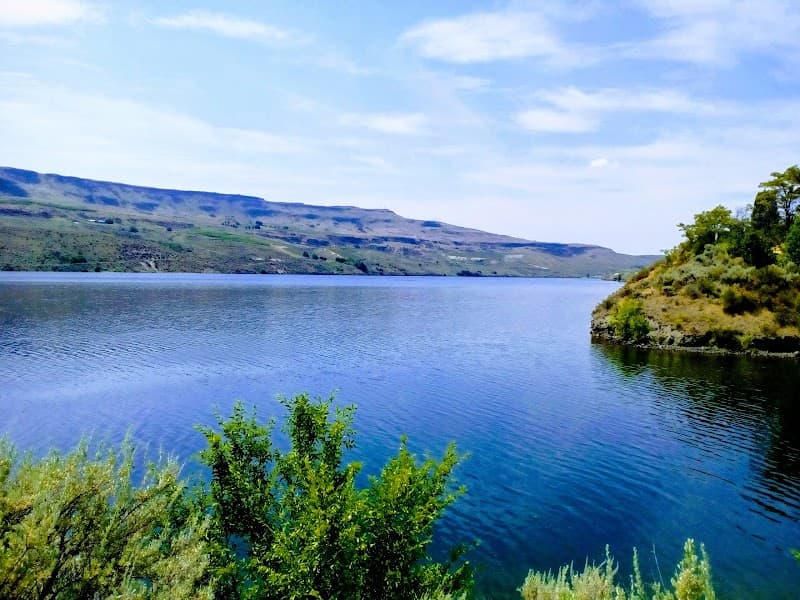 Photo by Parascovia Ungur (Google)