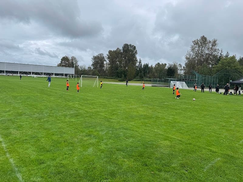 Photo by Fuad Shahin (Google)