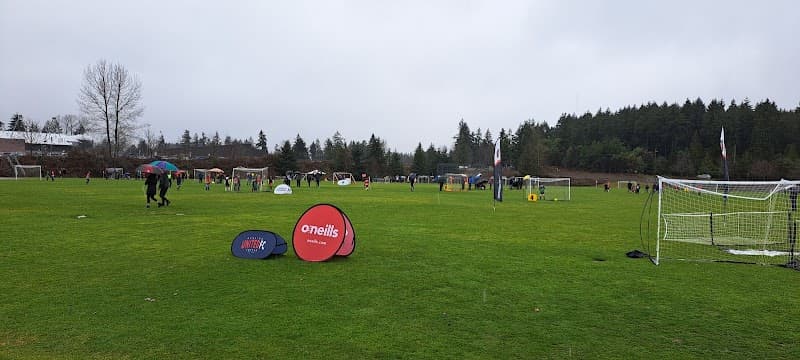 Photo by ROMAN GRECHANIUK (Google)