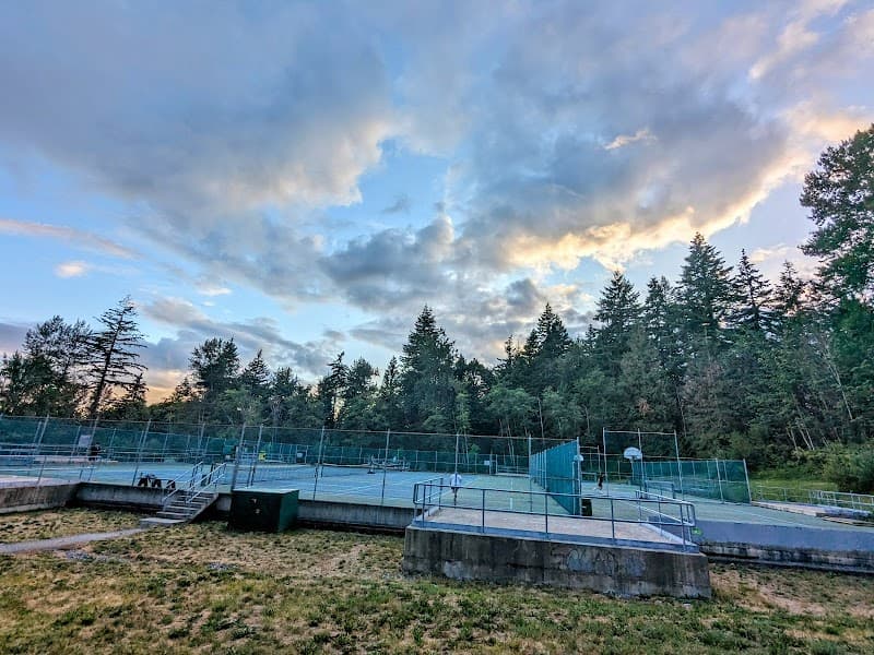 Photo by Ermia Aghaie (Google)