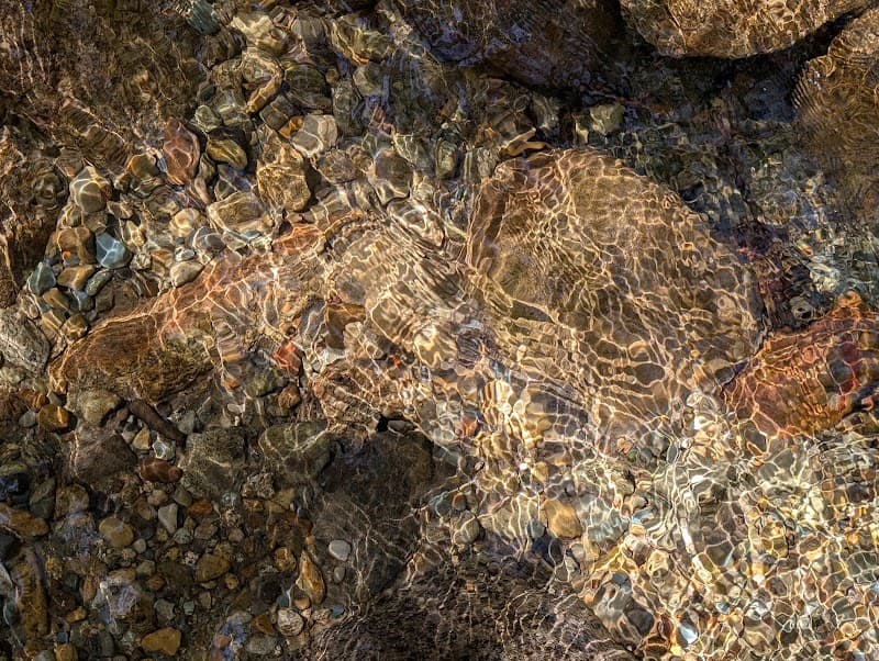 Forest Grove Park Outdoor Tennis and Basketball Court