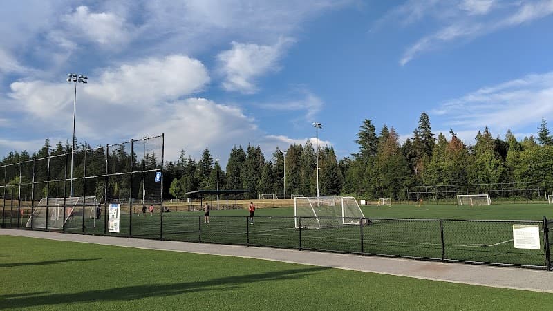 Photo by Tony Wang (Google)