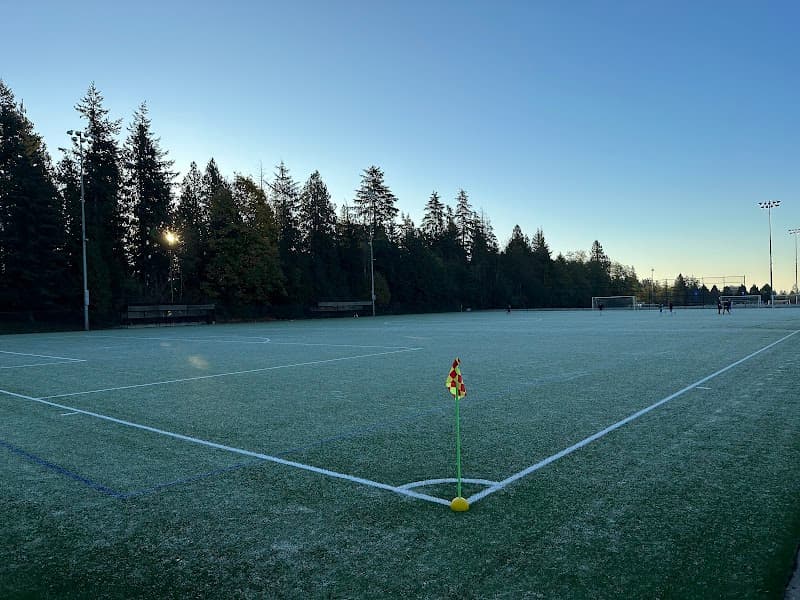 Photo by Adrian Celis (Google)