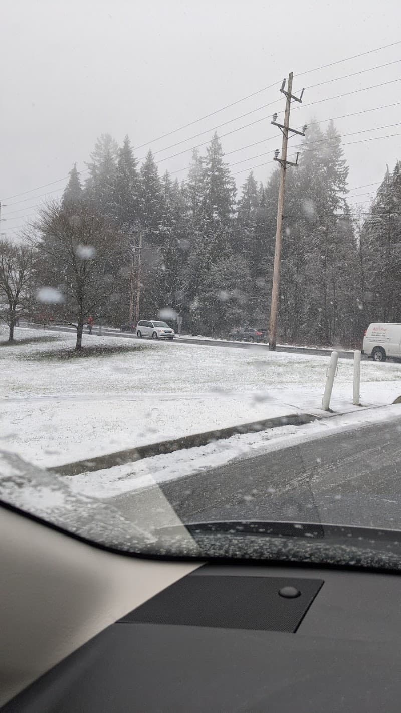 Photo by Richard Chong (Google)