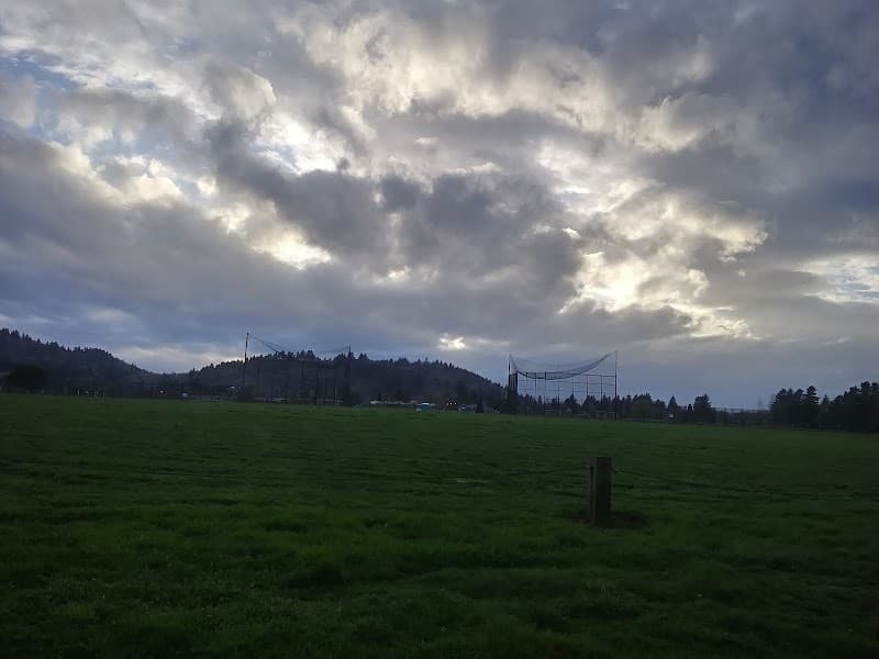 Photo by Colette Davis (Google)