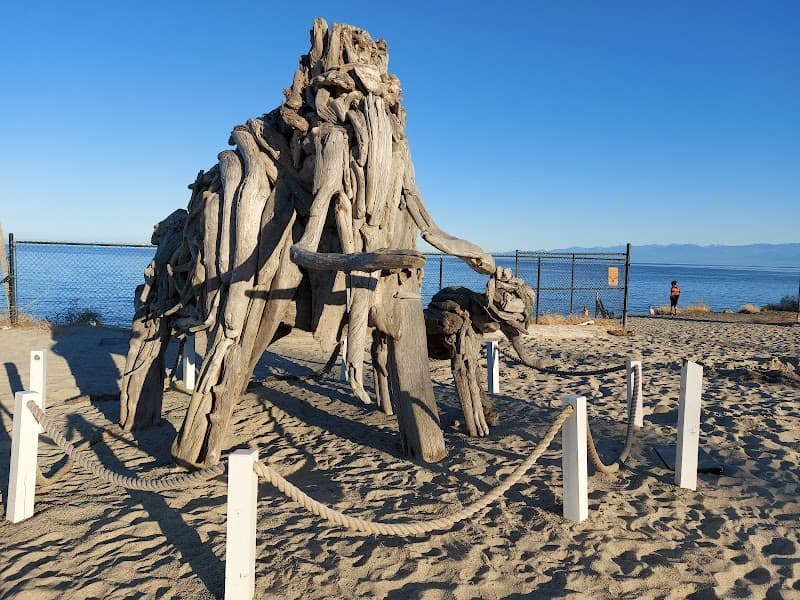 Photo by nhan nguyen (Google)