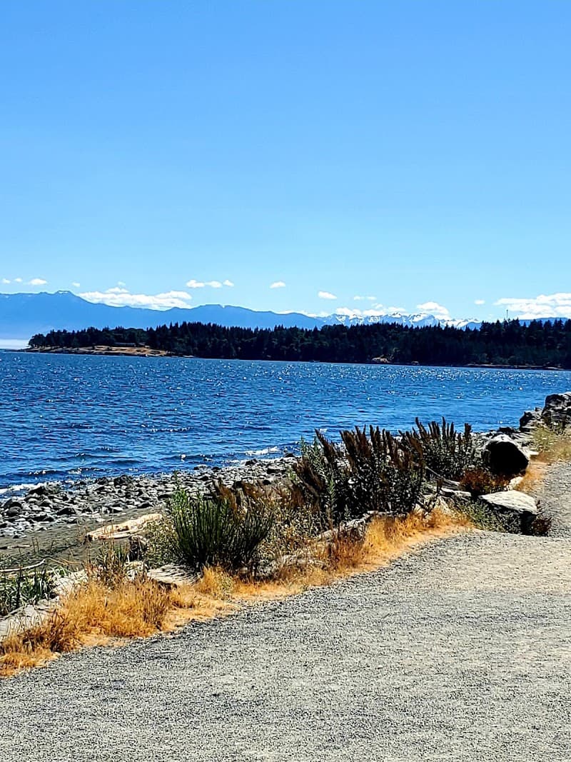 Photo by Patsy Clark (Google)