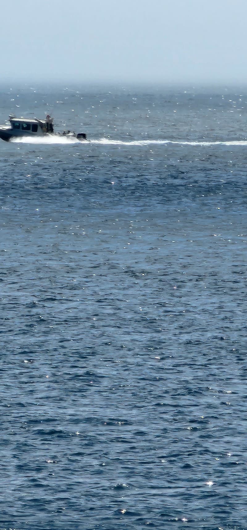 Photo by Adam Chadwick (Google)