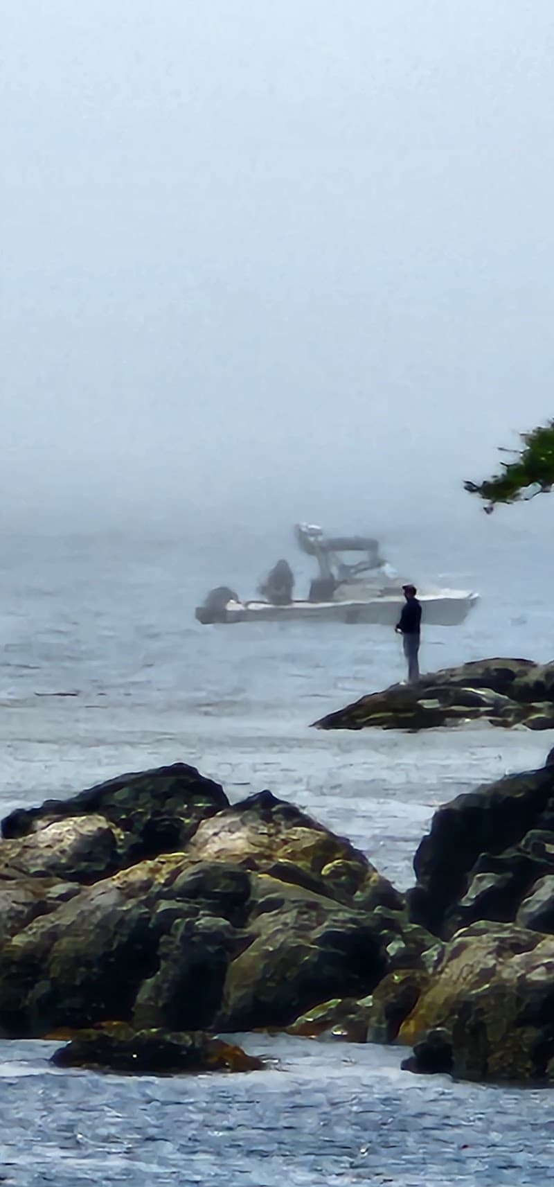 Photo by Adam Chadwick (Google)