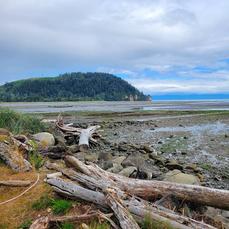 Photo by zealouscease (Google)