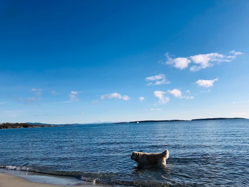 Photo by tingting feng (Google)