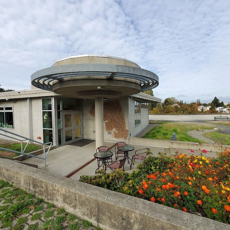 Photo by Que Banh (Google)