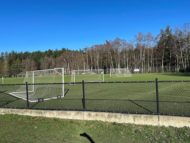 Photo by Dan Wood (Google)