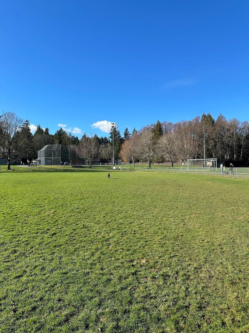 Lochside Turf soccer field (Frank's Field)