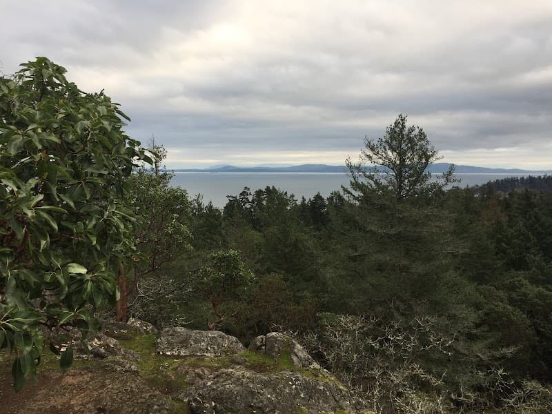 Photo by Carlos Castillo (Google)