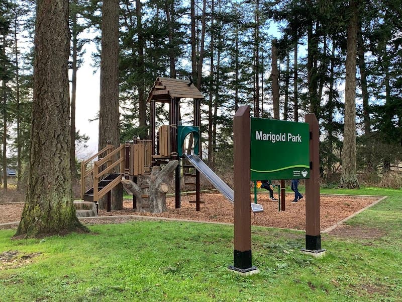 Photo by Rodrigo Feracini (Google)