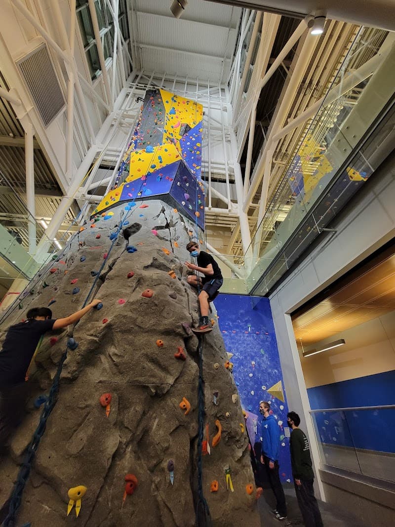 Photo by Hana MacInnis (Google)