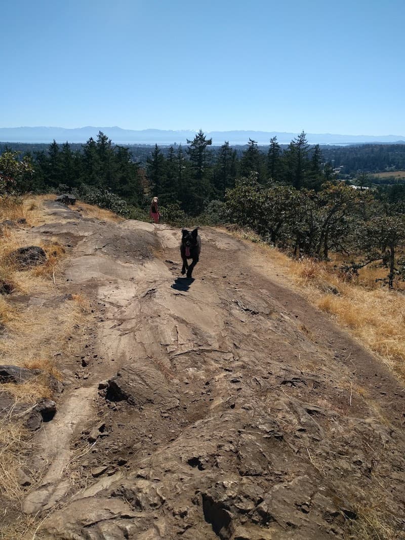 Lakehill Baseball And Fastball Association