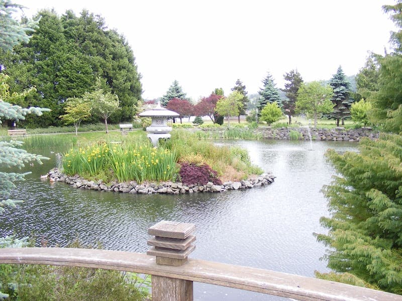 Photo by A W (Google)