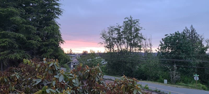 Photo by Audrey Pastore (Google)