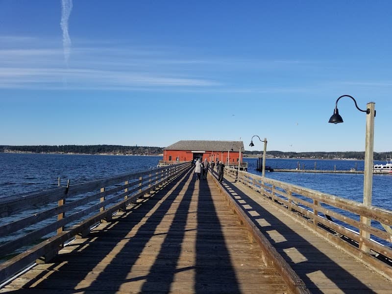 Photo by Zhuojun wu (Google)