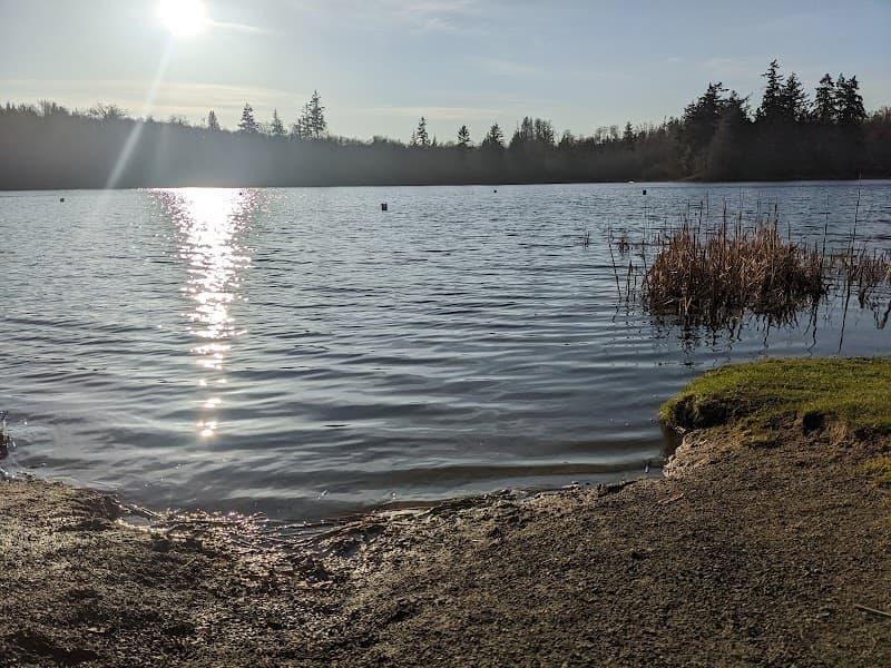 Photo by Malissa Purser (Google)