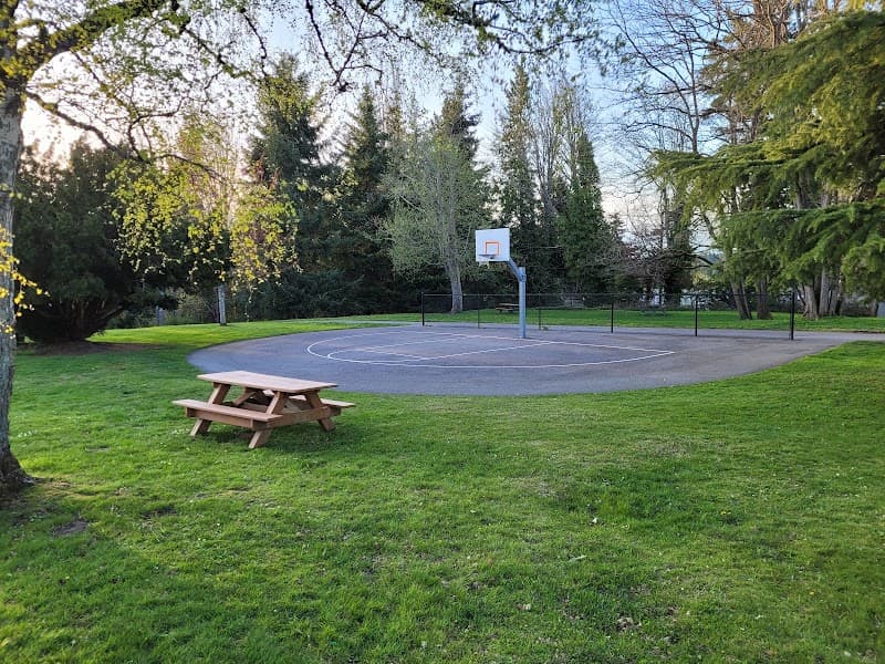 Photo by Shahbaz Nadir (Google)