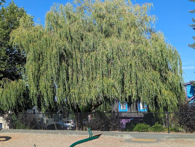 Photo by David Stahl (Google)