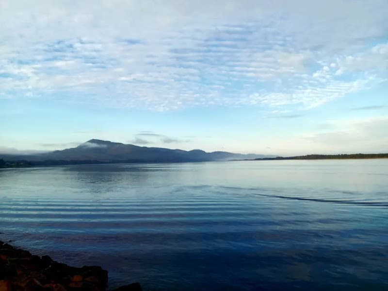 Photo by Elesha Loftin (Google)