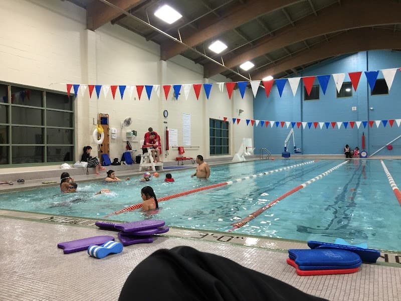 Photo by Shady Yanny (Google)