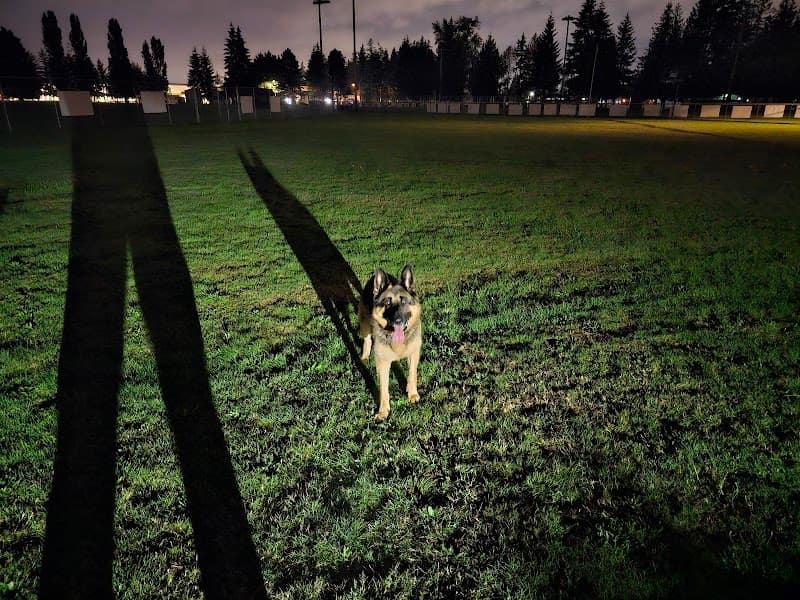 Photo by Bruce M (Google)